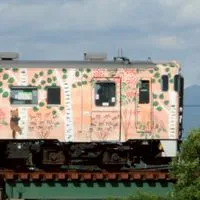JR北海道スジ公開、目撃情報