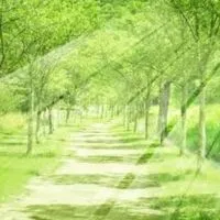 🌳50代・60代✨時々ドキドキ脇道✨🌳