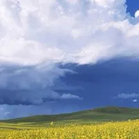 少人数♫昭和世代で友達つくり笑顔で和気あいあい🌿