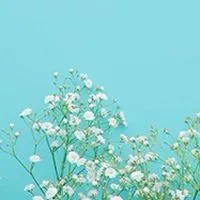 🎶シニア女性同士で楽しくおしゃべり🎶 【50歳以上女性限定】