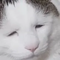 本命作っちゃおうYOH ❣️ 全緩ハント的なテキーラ ⁉️笑