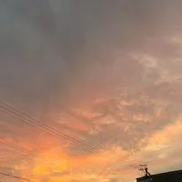 人狼j(どれっし)