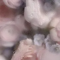 ◤◢◤ 𝑴𝑨𝑭𝑰𝑨  - 𝑜𝑟𝑖𝑔𝑖𝑛𝑎𝑙 - ◢◤◢　（オリキャラ,折也）