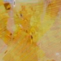 フォートナイトブレインロット交換300人で配布