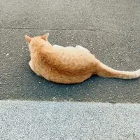 ミラクルメンタルヘルス講習会inレイビレッジ