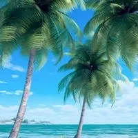 🆕🌿憩いの雑談🌿大人の恋バナ癒しルーム＆ライブトーク💞