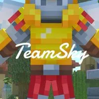 Team sky wars　（HIVE）