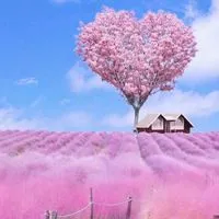 ゆったりゆっくり🌟     大人の恋バナ🌹九州のくつろぎの空間🌟