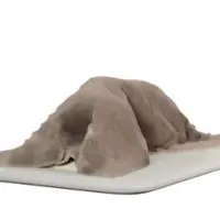 おぢぽ、おじぽフレンド団