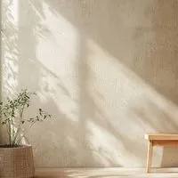 Ensoleille ＿ ☀︎    僕らの居場所