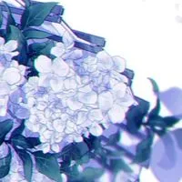 銀魂 也 【　折有　】