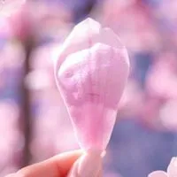 心が疲れてるメンタル持ちの方の居場所４０代以上の方宜しくお願いします