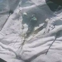炉留 練習  .