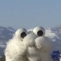 ‼️全也‼️激緩‼️