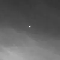 Duvet