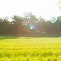 インスタがもっと好きになる朝活☀️
