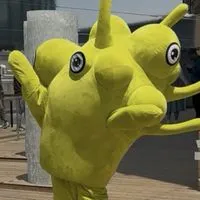 大阪関西万博🤝　初めてでも楽しめる？🤔