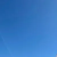 ゲームしたり雑談しようぜ！