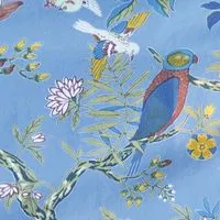 かみしほろヨガ🧘✨