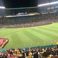 プロ野球予想！メジャー予想！サッカー予想