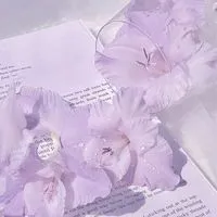 貴方ってズルい人！：全緩也ハント