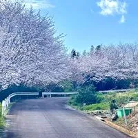中学、高校、大学生までの場