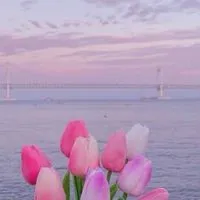 はろはろーん🌷女子中学生おいで(*^^*)