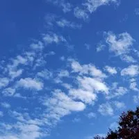 みんなでつくる@北とぴあ演劇祭