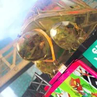 スプラエンジョイ勢の人きて！（少人数）