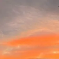 🎉Vol.2 Single50代60代70代 これからどう生きますか？🎉