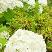 ネイル好きのゆる休憩室