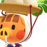 あつ森カブ取引所　ライト&雑談⭕️