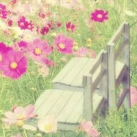 🌹昭和世代の大人の雑談Room🌹