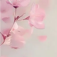 男女混合　終活・介護について、お話ししましょう❣️