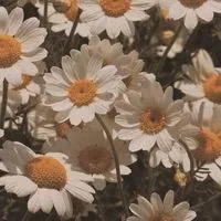 今日、好きになりました。 ─全緩ハント編─
