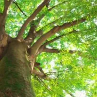 50代～70代シニア世代のしゃべくりの森🌳🍃とカラオケ館⛸️