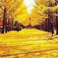 50～70代シニア世代少人数            🍪🍪🍪🍪🍪