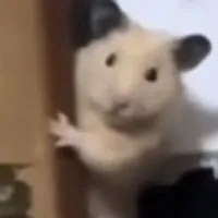 全全全緩也‼️‼️⁉️✨💖😘過疎絶対駄目‼️‼️‼️😭😭💦✨