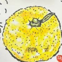 4児ママの里山自然をおすそ分け🌲