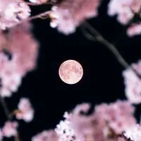 離婚バツイチ障害者で話しましょ🎵