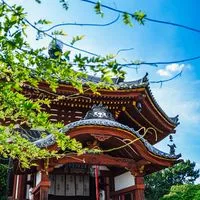 🔰学びながら仏教を語る会🔰