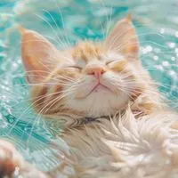 精神疾患持ちさんのメンタルROOM【𝑯𝒂𝒑𝒑𝒊𝒏𝒆𝒔𝒔心の音】