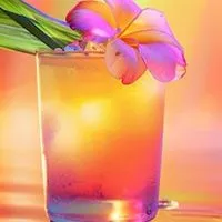 🌺大人の雑談🌺| ‹:)~︎🌟恋バナ❥･•その先の未来への魔法🪄✨