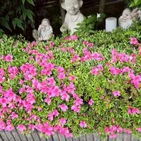 何でも話そう。愚痴。悩み。雑談。ストレス。