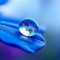 🪻【九州女性限定ℝ𝕠𝕠𝕞 】🪻     🩷40代50代60代🩷