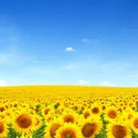 ✨即承認✨大人の雑談🌹大人の恋バナ✨みんなで楽しく雑談して、その先へ…🚪