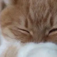 身内作っちゃわNIGHT ❣️ 全緩ハント的なテキーラ ⁉️笑