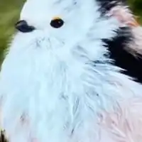 漫画・アニメ雑談