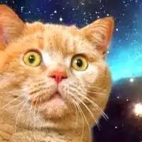 アニメ好き集まれぇー！！！
