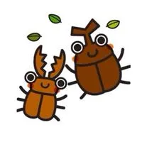 初心者さん向けクワガタ＆カブト教室🔰